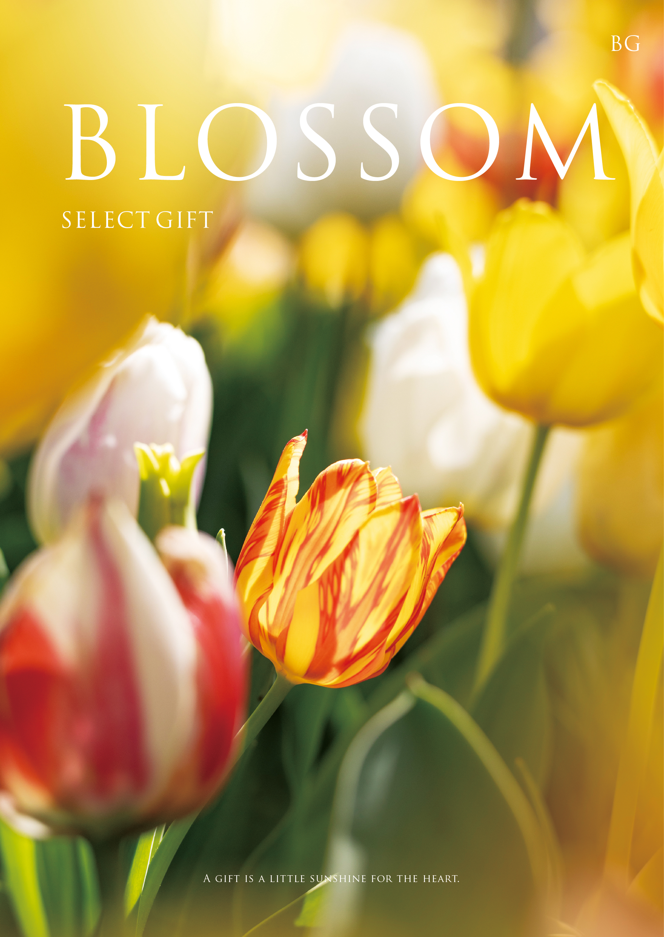 カタログギフト「ブロッサム ラナンキュラス」