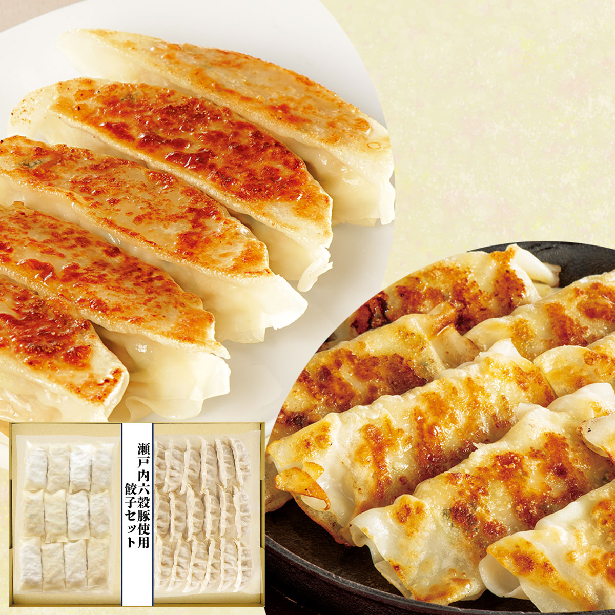 瀬戸内六穀豚使用　餃子食べ比べ