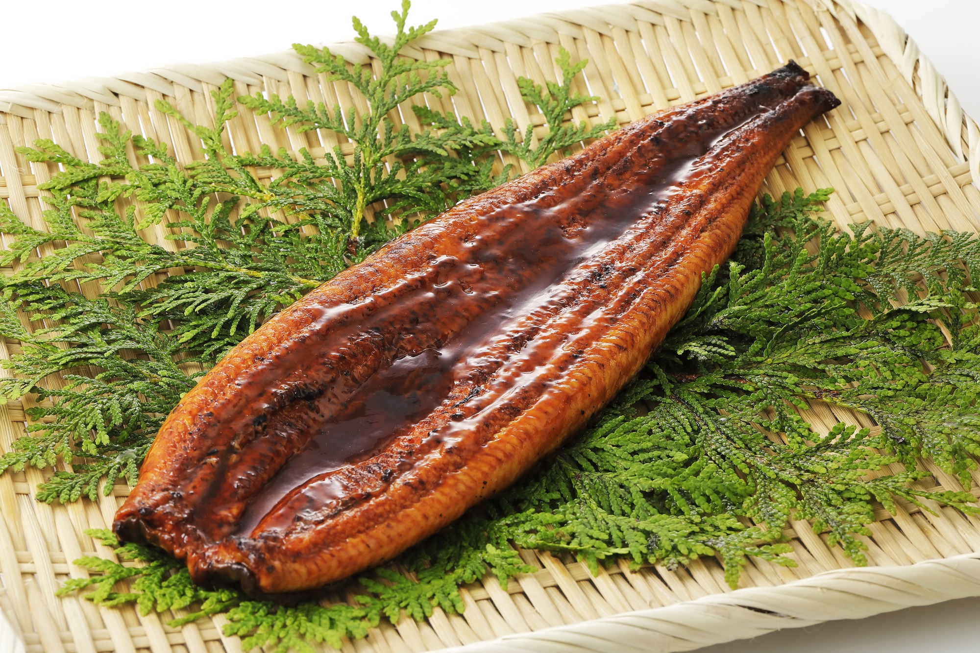 山田のうなぎ（鹿児島産）5尾