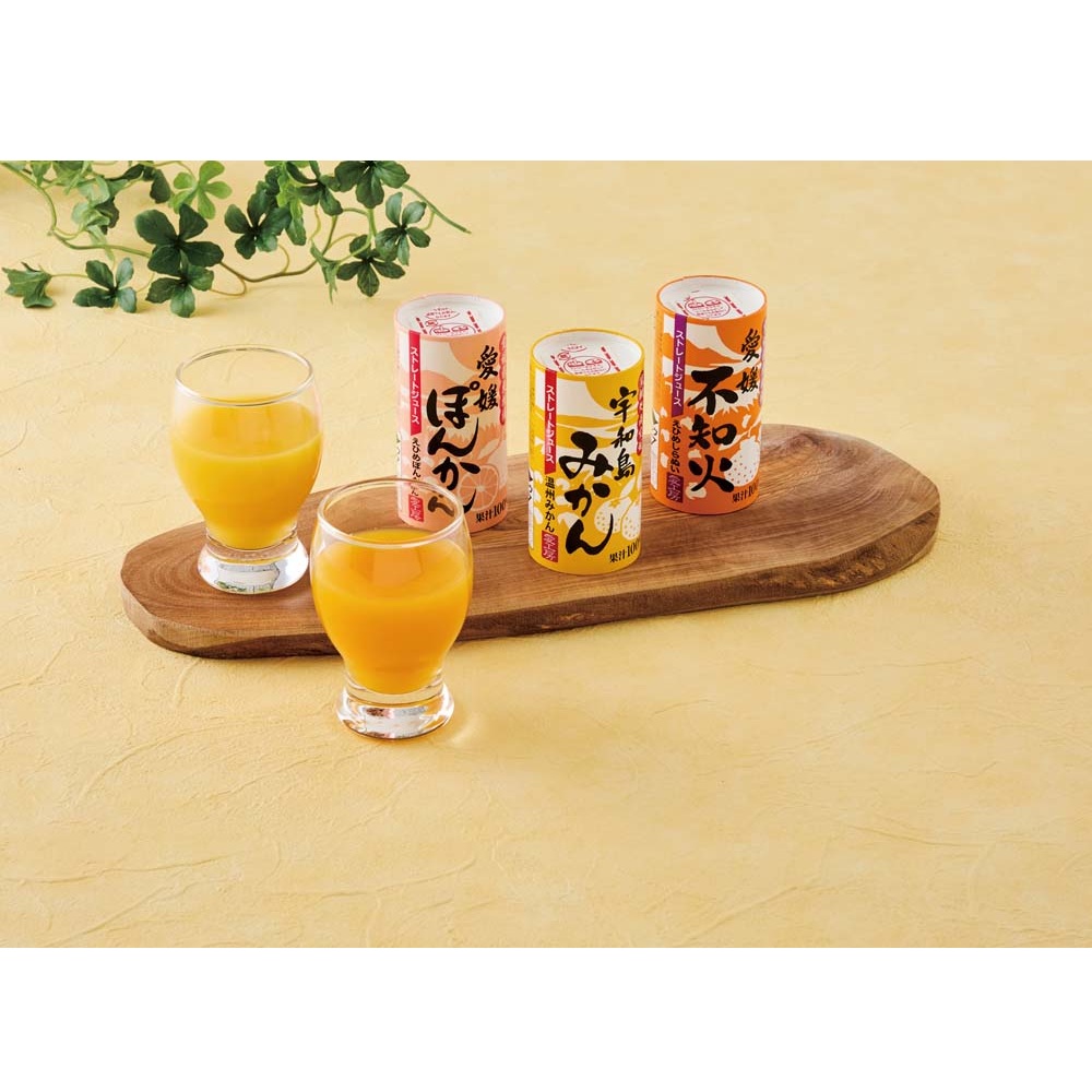 【お歳暮ギフト】愛工房 愛媛県産柑橘ストレートジュースセット（紙容器）　期間限定販売