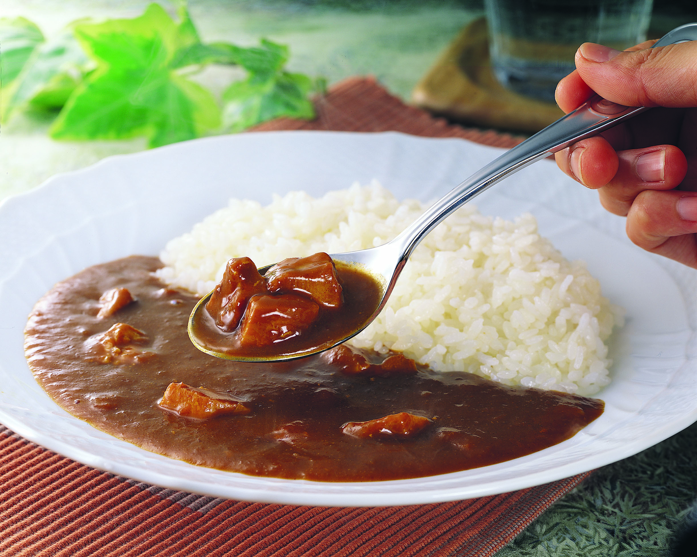 ご当地カレー 水たき料亭「博多華味鳥」チキンカレー 3食セット